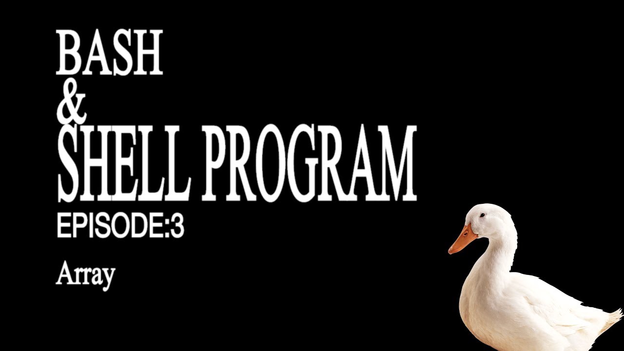 Shell Programming #3 - Array || Sistem Operasi w/ Mr.Goose - YouTube