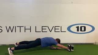 Low Plank DB Push/Pull