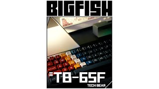 TB-65F | Infinite Progress
