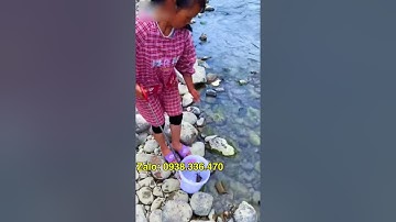 Kẹp Đa Năng.Kẹp Cua, Cá , Lươn, Trạch …(Có 38cm,50cm ,60cm ) Zalo: 0938.336.470 A Đẩu