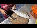 Amazing Fresh Mullet Fish Cutting &amp; Slicing | Curry Cut | AM FISH HOUSE IN BENGALURU