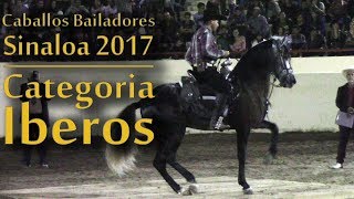 Dancing Horse Competition | Category: Iberos