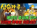 [심슨예언] 기가막힌 예언 적중률!! 10만배까지 가는 히든코인
