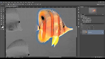 Colour Popping Tutorial - Photoshop