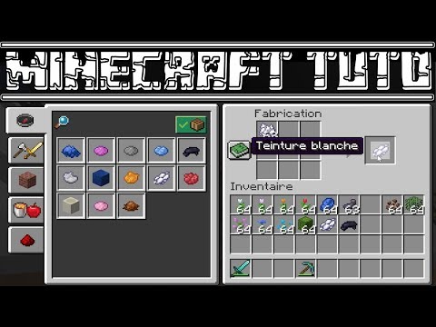 Vidéo: Comment faire de la laine teinte dans minecraft ?