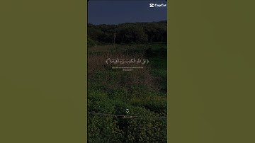 القرآن الكريم .تلاوة هادئة #راحة_نفسية #استغفرالله #لايك #تيك_توك #سبحان #استغفار #اكسبلور