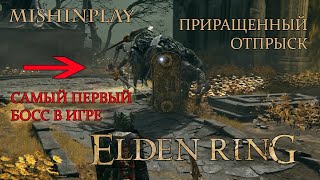 ELDEN RING БОСС ПРИРАЩЕННЫЙ ОТПРЫСК