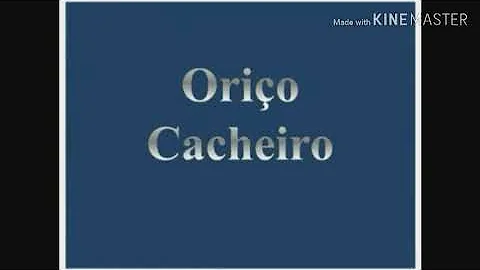 O que o Saci faz com seus poderes mágicos?
