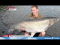Настоящего гиганта удалось поймать рыбаку в Тверской области,рыбалка,Тверская область,белый амур,