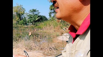 Địa hình rong rêu bao phủ thì cần tìm lỗ thoáng để câu#Shorts