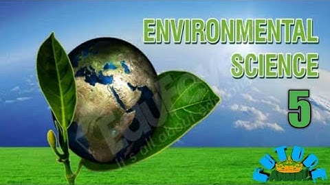 Understanding Our Relations Part 2 By Sukhwinder Kaur