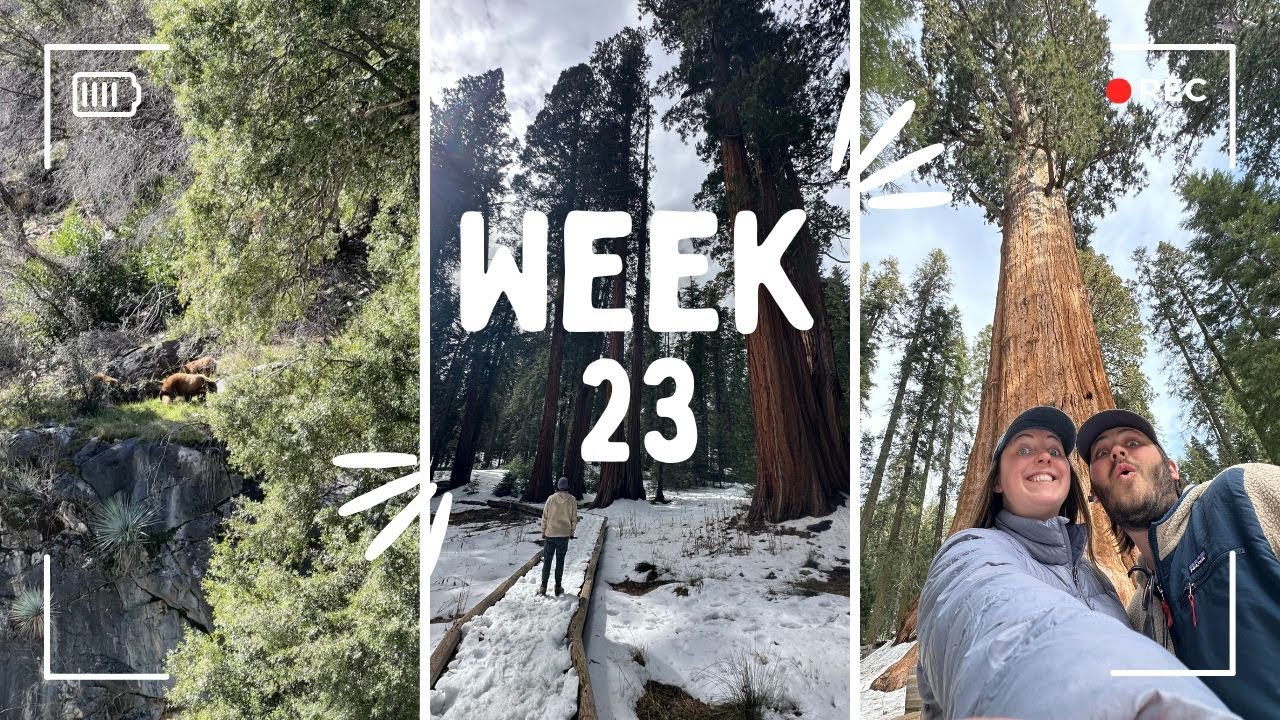 Travel Update Week 23 - YouTube