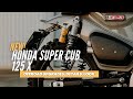 All New 2022 Honda Super Cub 125 X by MAAN Motocicli Audaci: Offroad Upgrades, Build, Details