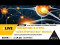 Онлайн-лекция Вячеслава Дубынина "Введение в курс. "Электричество" мозга" курса "Мозг человека"