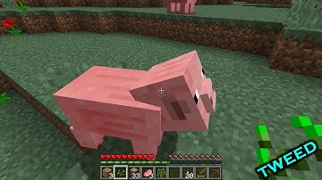 Minecraft Let