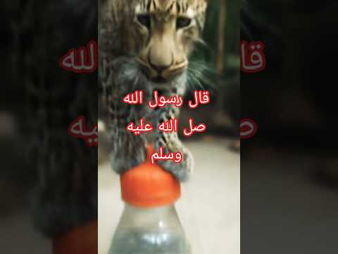من قال حين يأوي إلى فراشه قال رسول الله 