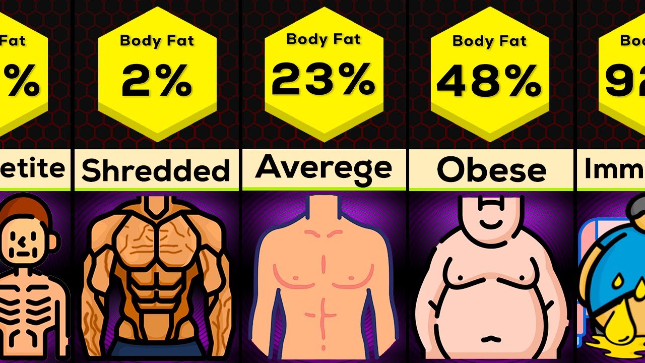 Fat comparative. Fat Level. Muscle Comparison. Comparison body fat and Sport. Vicseral fat Level.