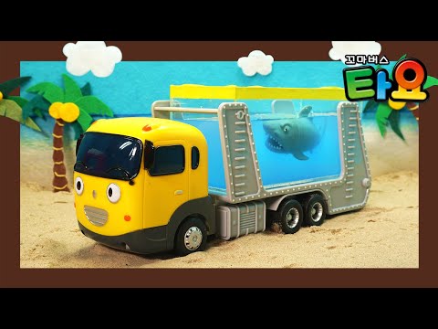 Strong Heavy Vehicles are making a container <strong>pool</strong>! l Heavy Vehicles Lego <strong>Play</strong> l Tayo the Little Bus