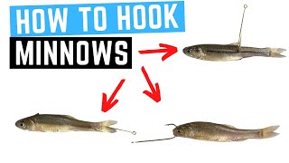 How To HOOK A MINNOW Without Killing It - 3 Best Ways 