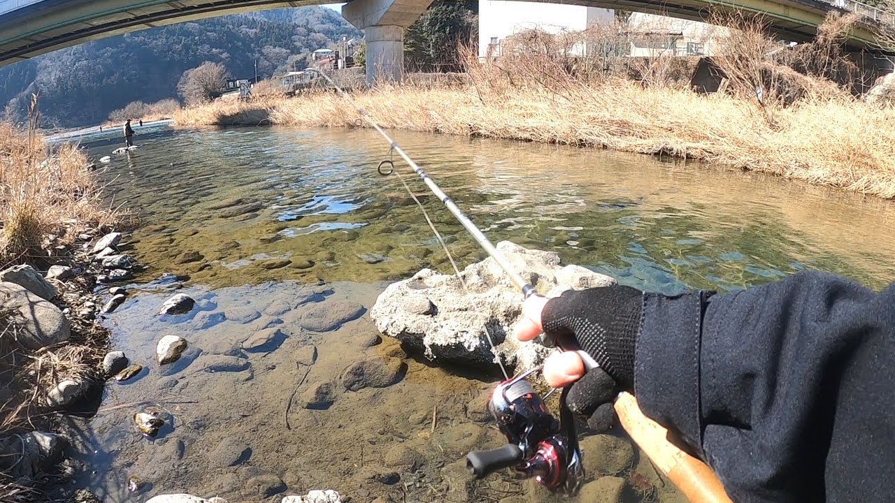 上野原で魚釣り！