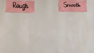 Prep: concept of " Rough & Smooth "