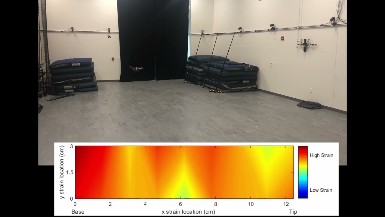 Distributed strain sensing in a quadrotor airframe