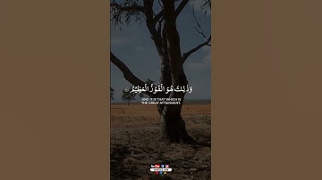 روز نهم | سوره توبه 111-112 | تلاوت قدرتمند قرآن #احساسی #دوئت #قرائت قرآن