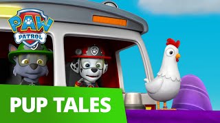 PAW Patrol | Pup Tales #14 | Rescue Episode