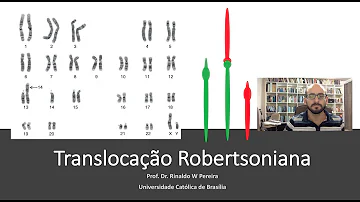Como ocorre a translocação Robertsoniana da síndrome de Down?