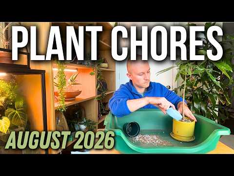 Plant Chores (August 2026) | Repot With Me + New Grow Light Unboxing