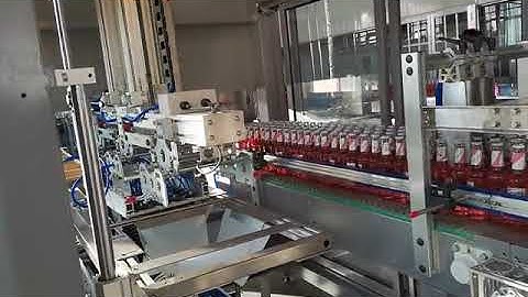 Full Automatic Carton Case Packer/Wrap Around Case Packing Machine for bottles boxes jugs