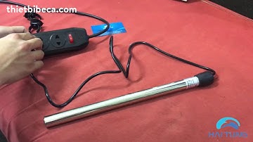 Dùng Sưởi Cho Bể Cá Khi Nào - Giới Thiệu Sưởi Inox Cho Bể Cá Cảnh