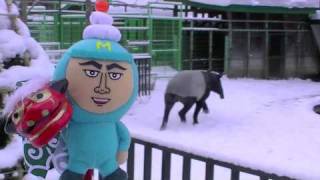 元旦の円山動物園