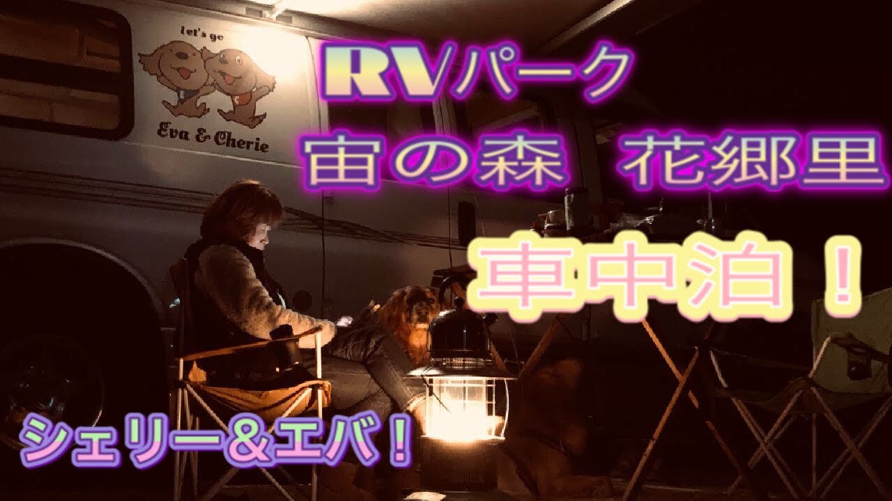 シェリー エバ Rvパーク 宙の森ホテル花郷里で車中泊 兵庫県美方郡香美町 ゴールデンレトリバー ドッグラン Youtube