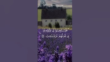 سورة البقرة - القارئ عبدالودود حنيف
