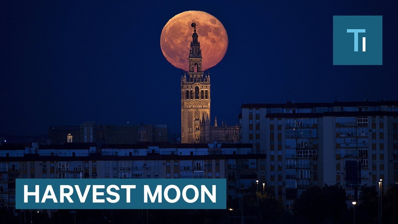 What is the Harvest Moon and Why Is It Late This Year?