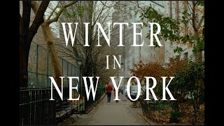 Winter in New York (Lumix S5II)