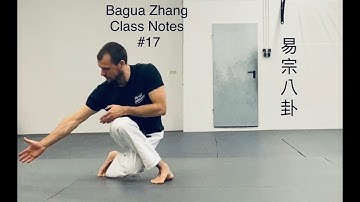 Bagua Zhang - Class Notes #17 / 10. March 2022