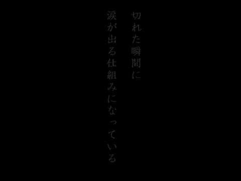 泣ける詩 ポエム 別れのスイッチ 混沌詩集 No 1 Youtube