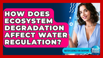 How Does Ecosystem Degradation Affect Water Regulation? - Water Science For Everyone