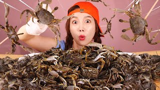 ENG SUB) Hundreds of freshwater crab fry Mukbang🦀ASMR eatingsound Ssoyoung