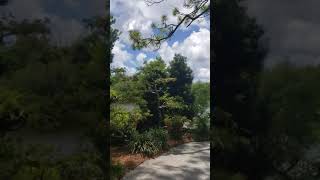 Morikami Museum And Japanese Gardens, Delray Beach Florida