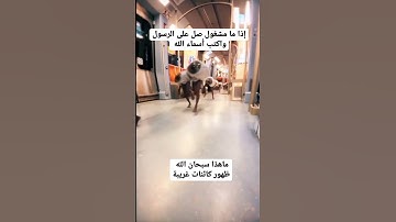 تلاوة خاشعة ومؤثرة جدا #تلاوة_مميزة #القرآن_الكريم #سورة_الكهف #explore #instagram #reels