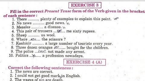 Syntax Noun Exercise 3  (Noun)from Excellent Book class 12 solved by Ramesh Sir