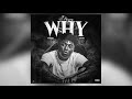 Fredo Bang - Why (Official Audio)