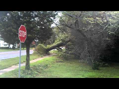 Hurricane Irene Road Block And Tree Down Cutchogue...