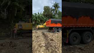 IMG 0466 #youtubeshorts