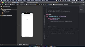 How to pass data between View Controller in Xcode | SourceDevZ
