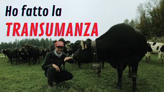 Ho Fatto La Transumanza