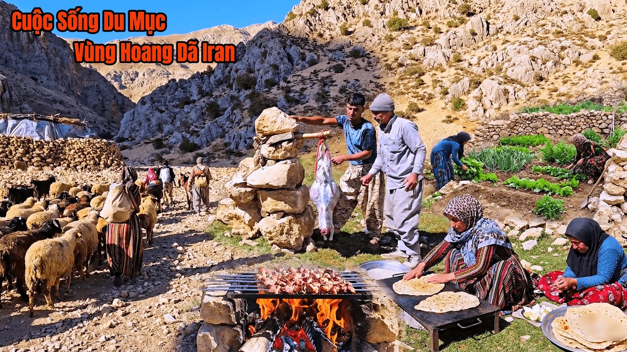 Cuộc Sống Du Mục Iran - Cải Tạo Nhà - Thịt Dê Nướng Thịt Thơm Trên Núi Cao Iran